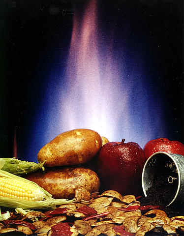 BioMass Veggies
